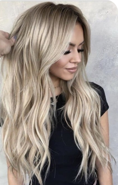 Highlight, haircut, & blowdry