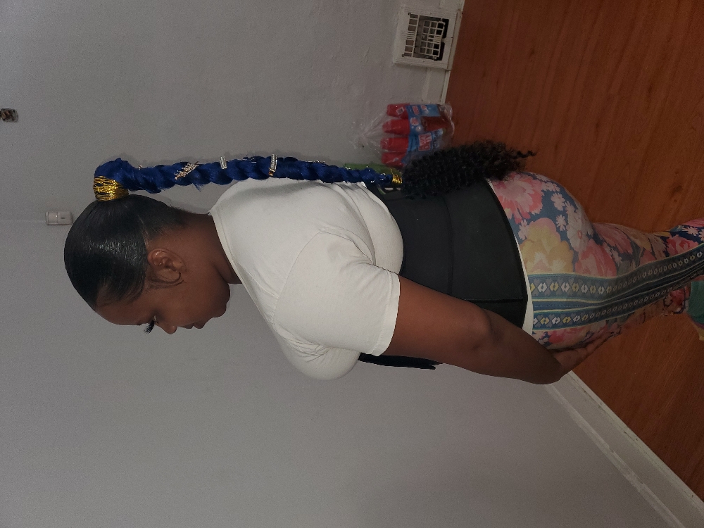 Braid Ponytail