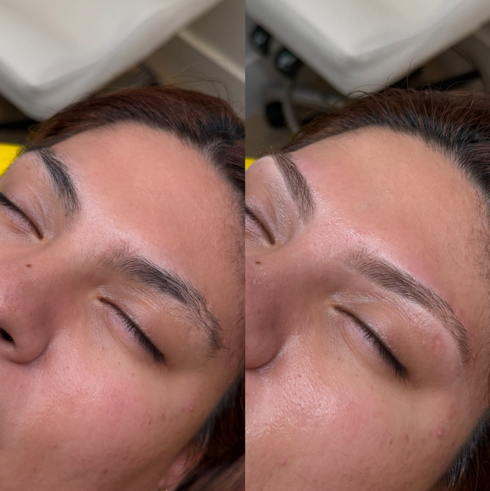 Honey Kissed Brows
