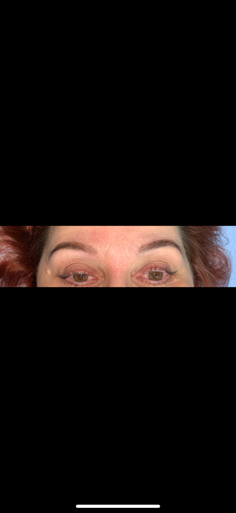 Brow Tint & Wax (Thinner Brow Hair)