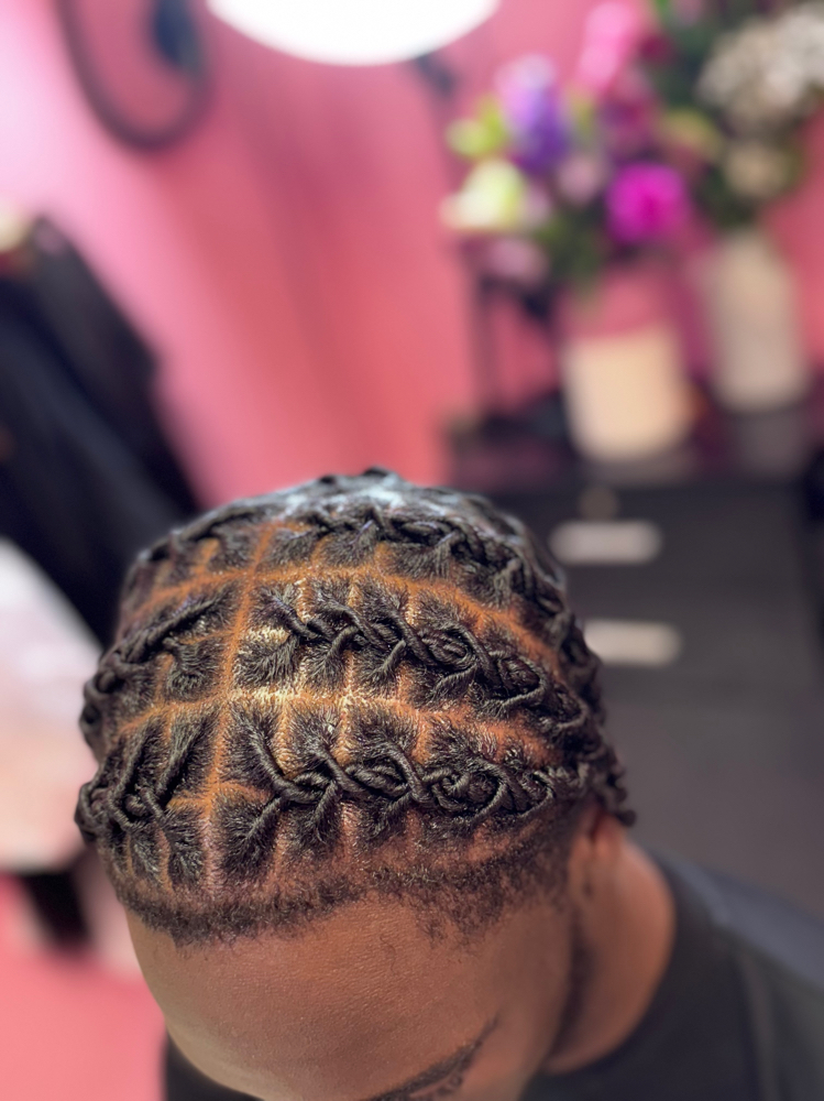 invisible locs