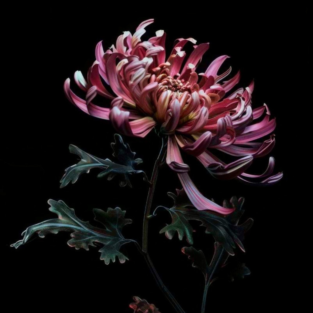 Bang Trim or Undercut at JR Hair Co. in Lincoln, NE