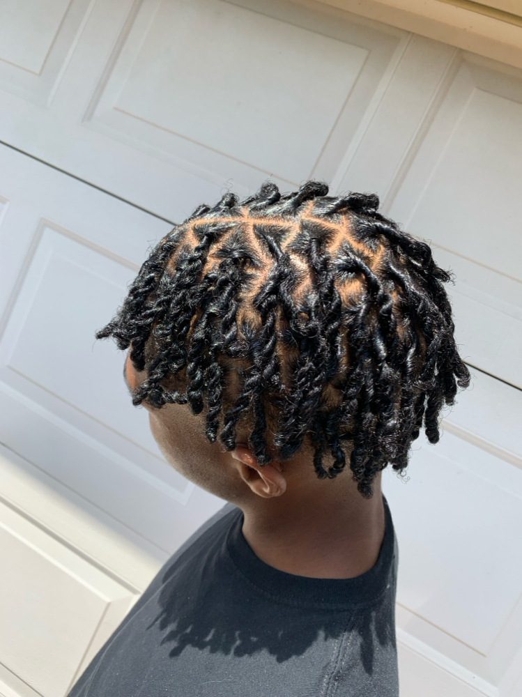 Starter Locs (Two-Strand)