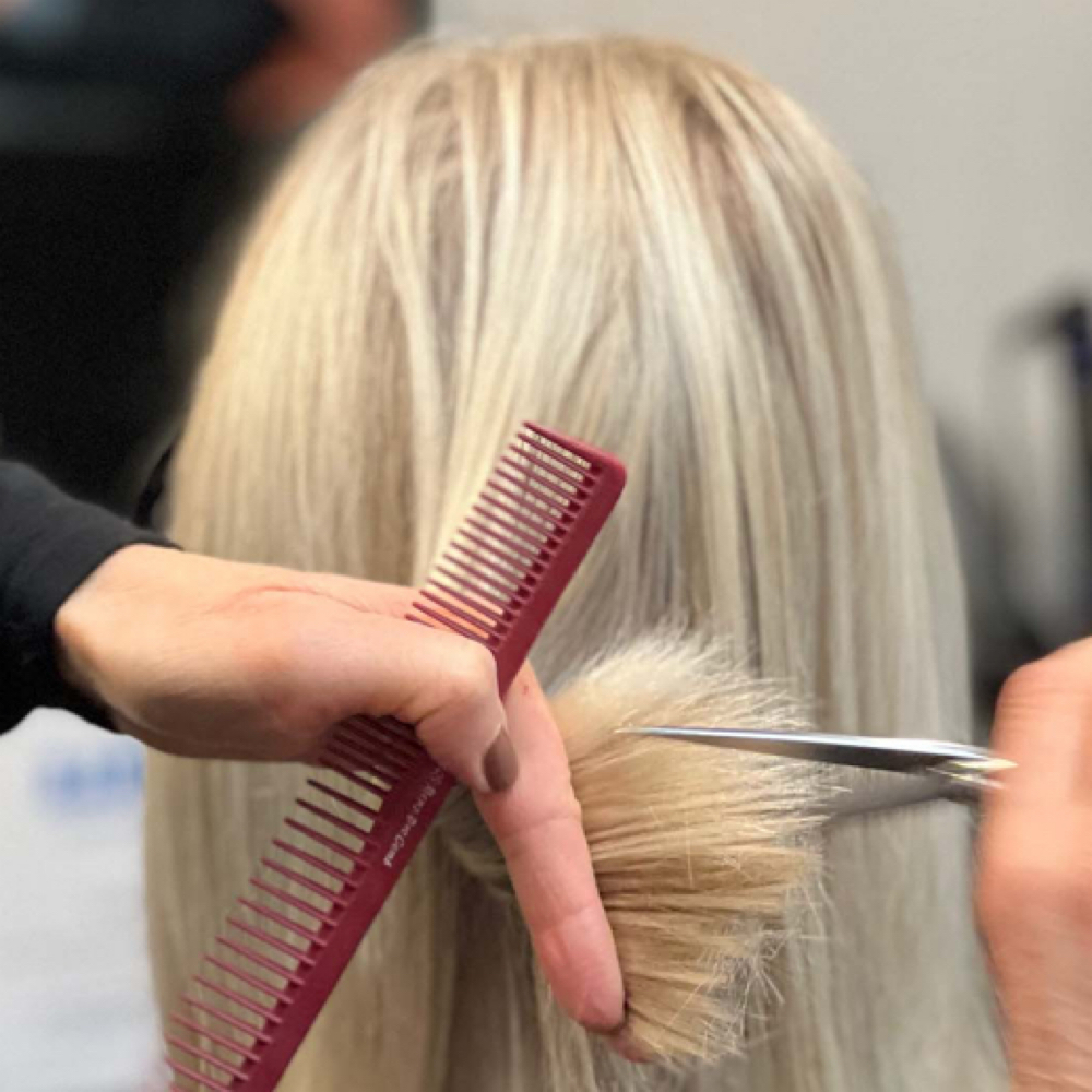 Dry Cut (Established Client) at Helix Hair Studio in Vero Beach, FL