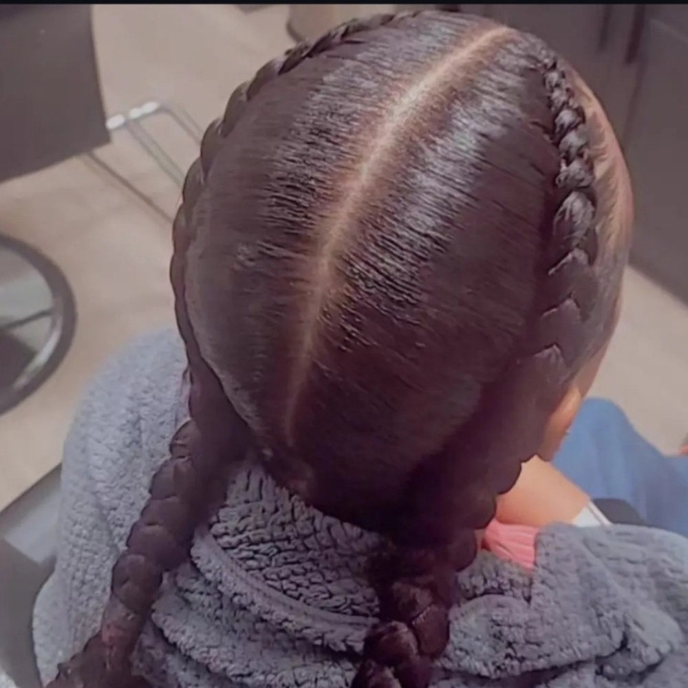 2~Feed In Braids