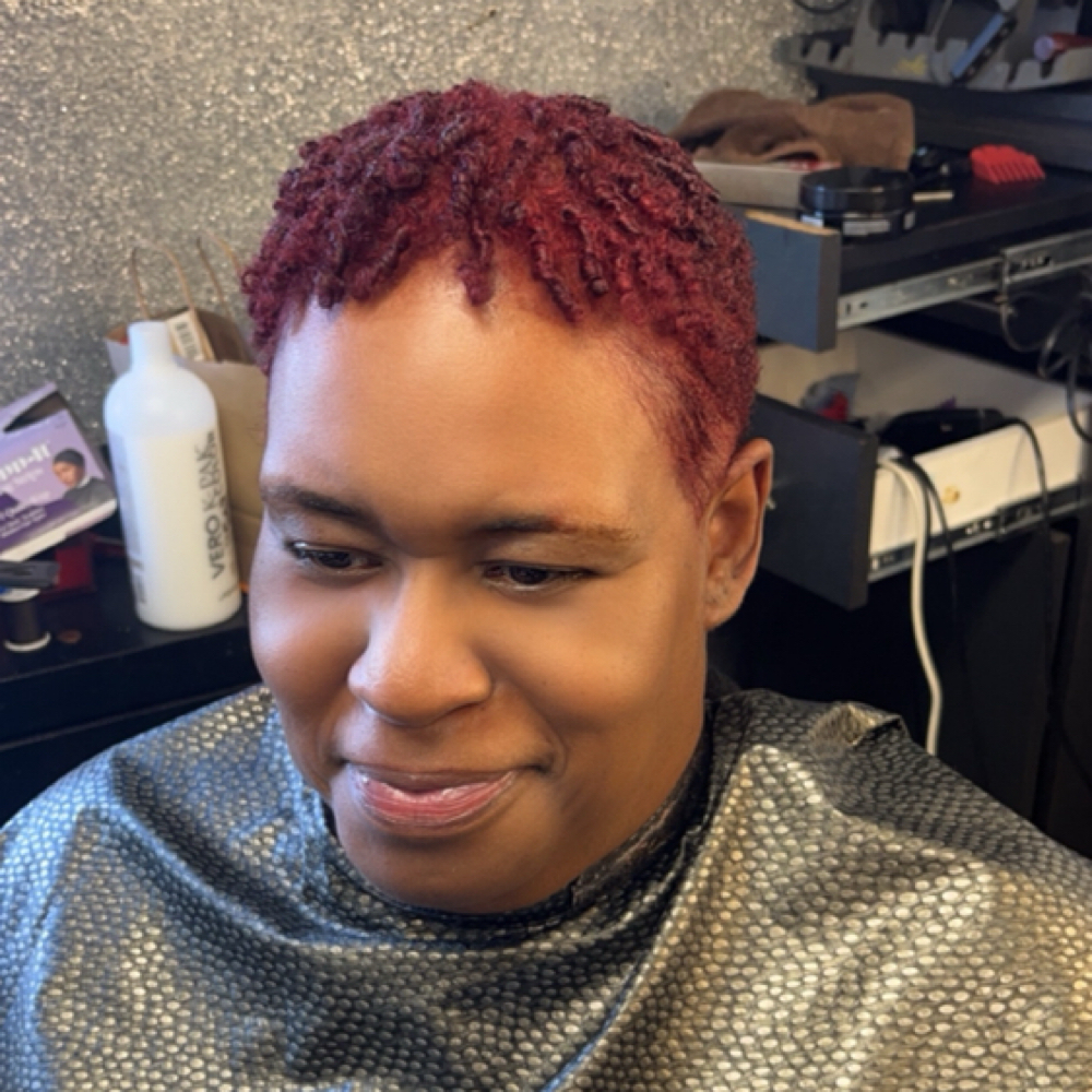 Hair color Retouch at Distinctive Designs By TC in Blue  Ash, OH