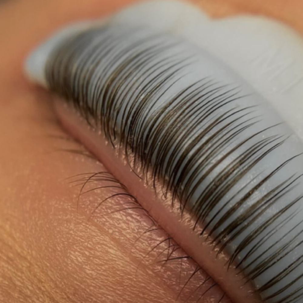 Lash Lift & Tint at Bandit Beauty Co. in Paso Robles, CA