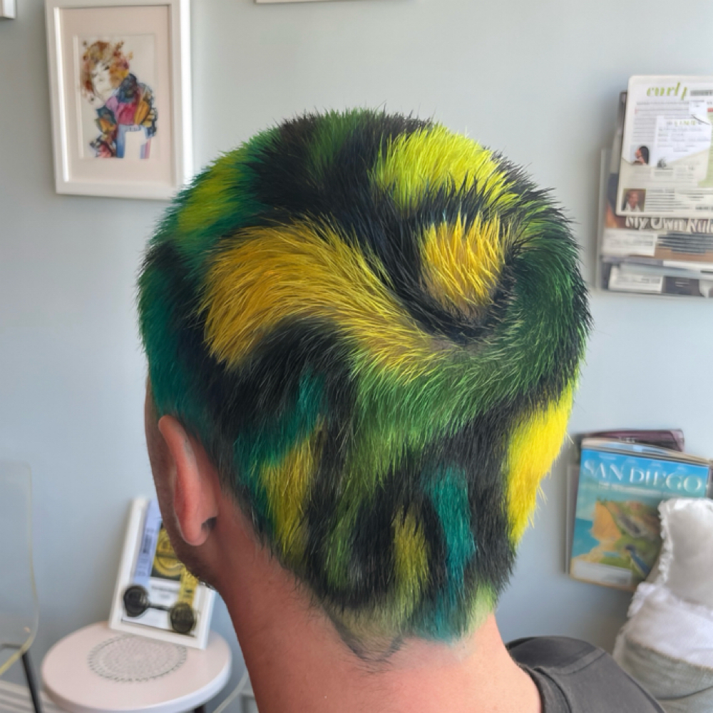 Vivid/ Fashion Color at Hair by Alexandra in San Diego, CA