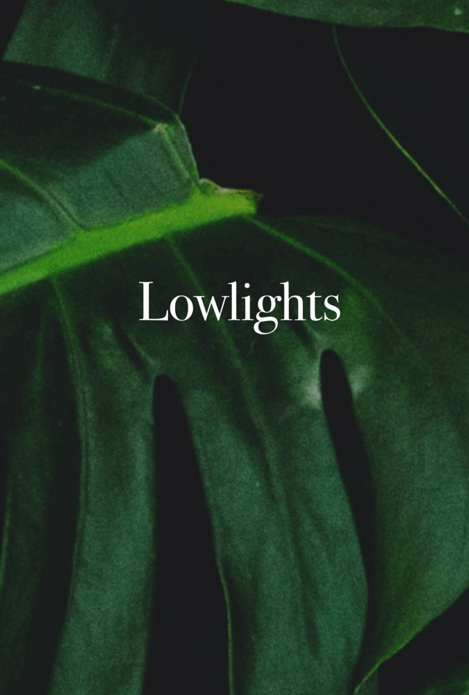 Lowlights at Anestie Beauty Lounge in Franklin Square, NY