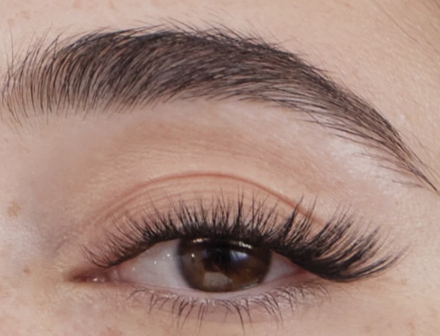 Lash Extension Classic