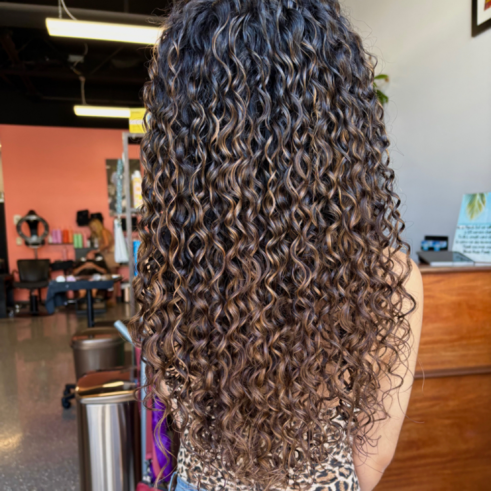 Signature Curly Cut at Amya  Boose in Coral Springs, FL