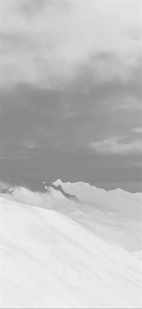 Partial Highlight Color Service at Jocelyn Ollinger in Kalispell, MT