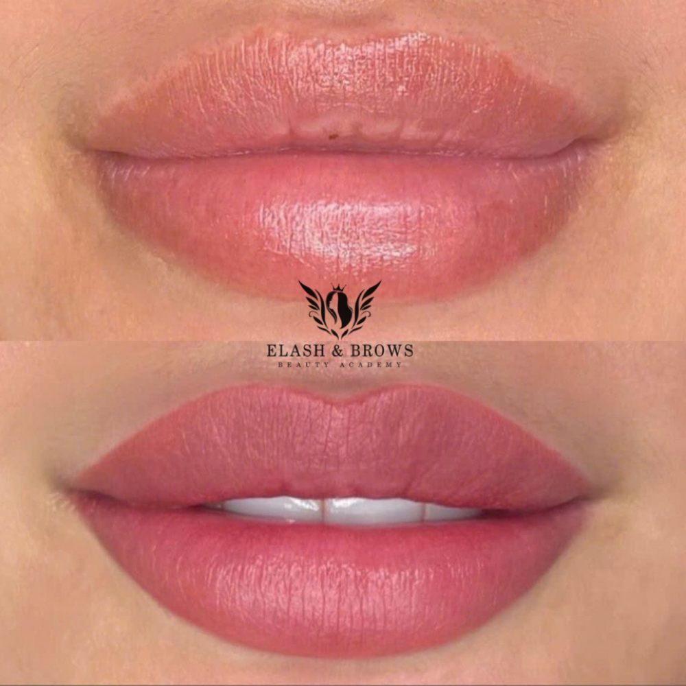 PMU Lipsblushing Traing 3 Days at Elash & Brows Beauty Salon in Duluth, GA