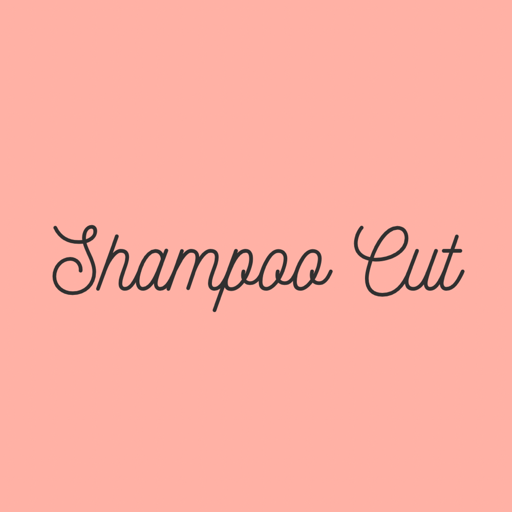 Shampoo Haircut