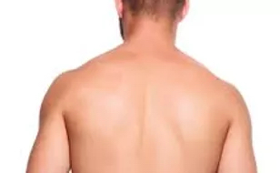 Mens Back