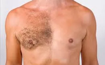 Mens Chest/Stomach