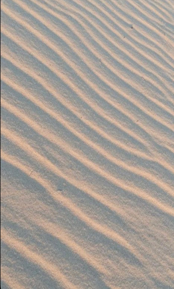 Lash Lift & Tint Combo