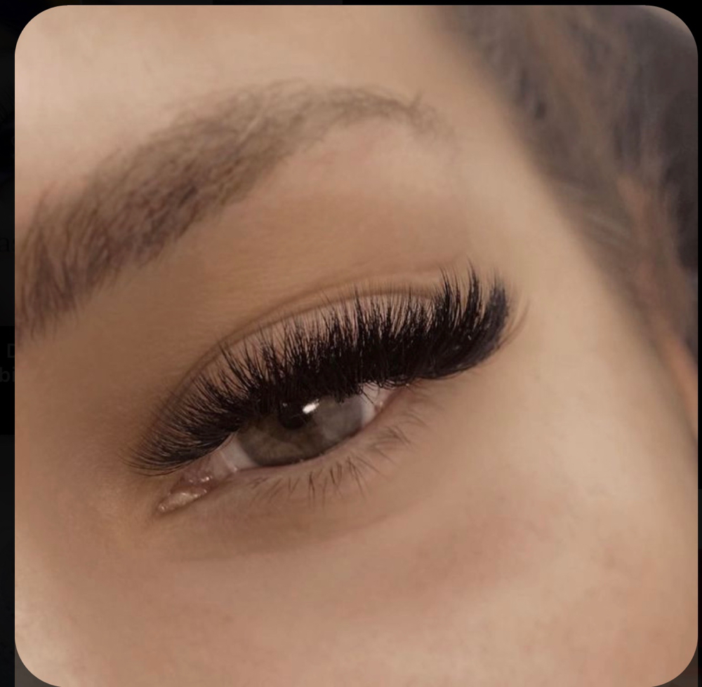 Volume 2 Week Fill at Signature Lash Artistry in Chino Hills, CA