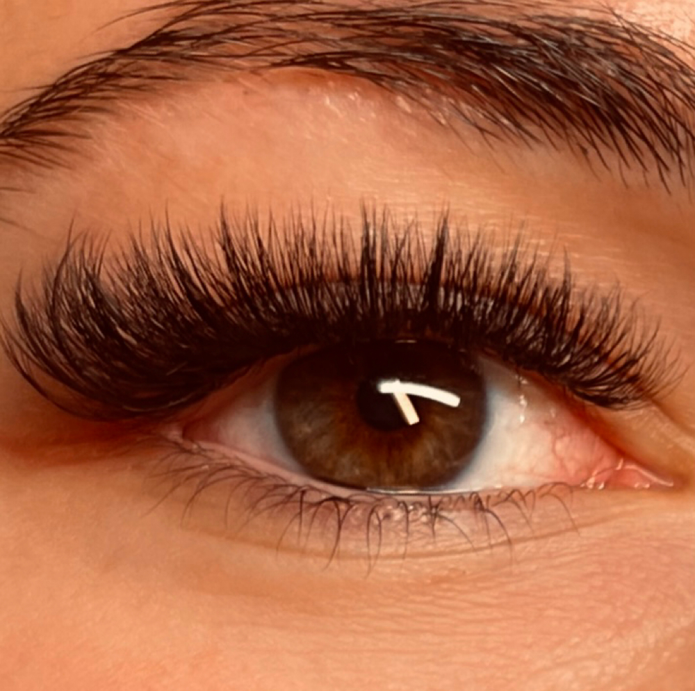Brown Lash Full Sets at Lily Aura Beauty Bar in Mandeville, LA