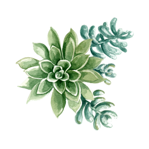 Brow Wax at Saddle Up Waxing in Burley, ID