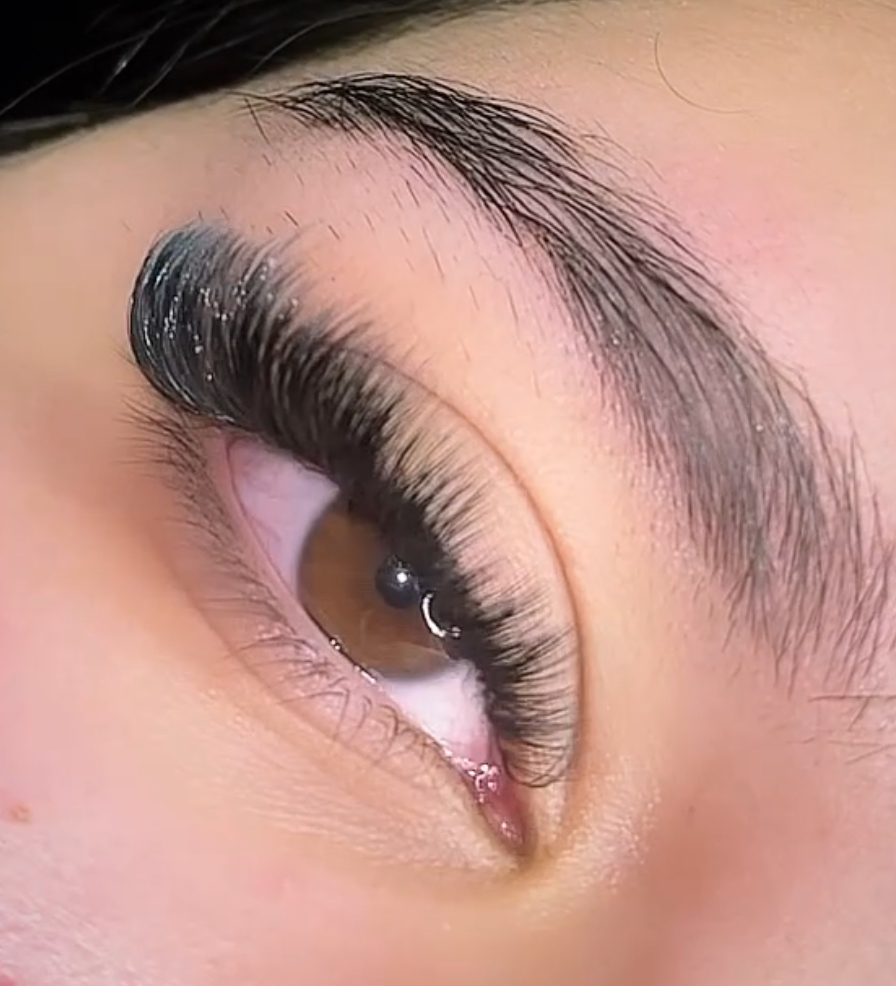 Volume Lashes