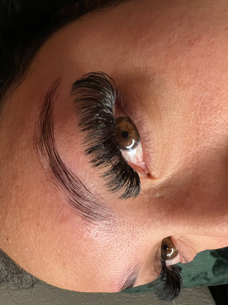 Mega Volume Eyelash Extentions