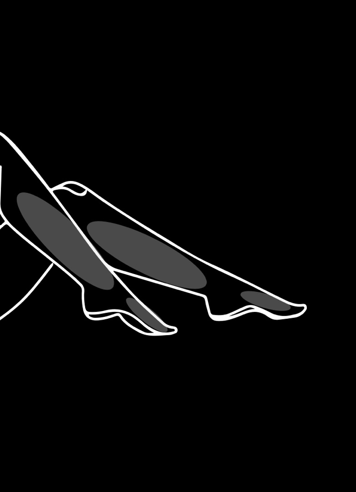 Lower Leg
