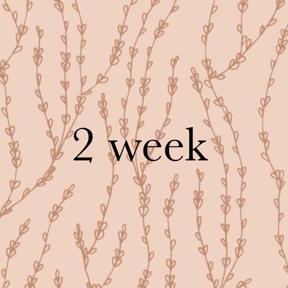 Classic 2 Week Fill