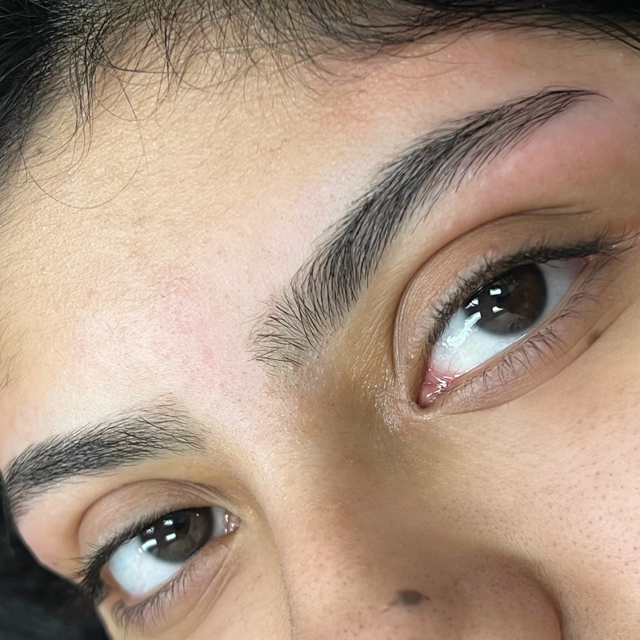 Brow wax + mapping at Martini Esthetics in Concord, CA