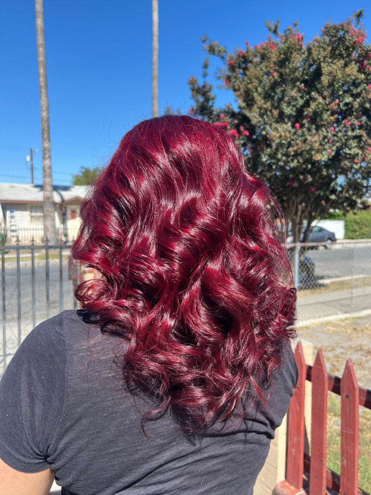Single process Hair Color