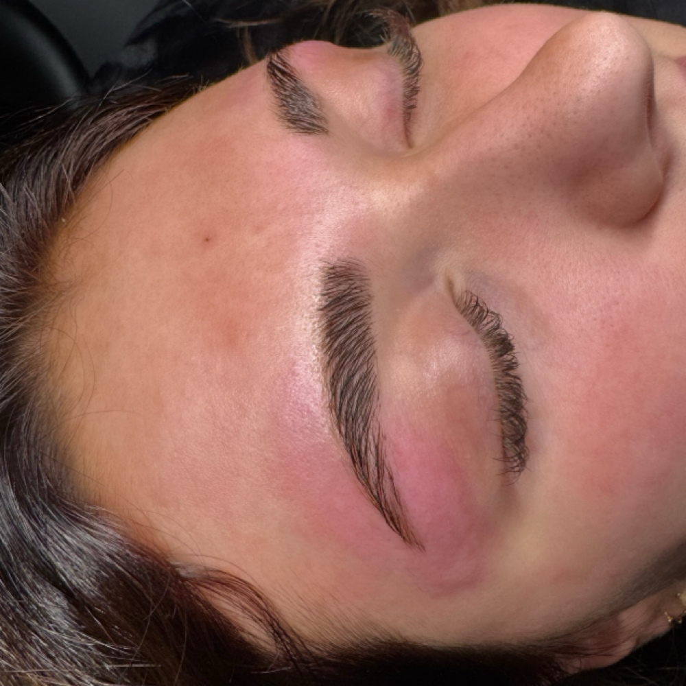 brow lamination + tint at EVE Esthetics & Beauty Bar in Plain, WI