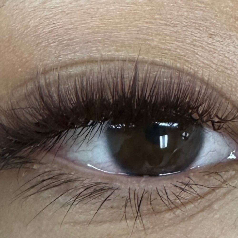 Eyelash Extensions- 60min Fill at Serene Esthetics LLC in Bremerton, WA