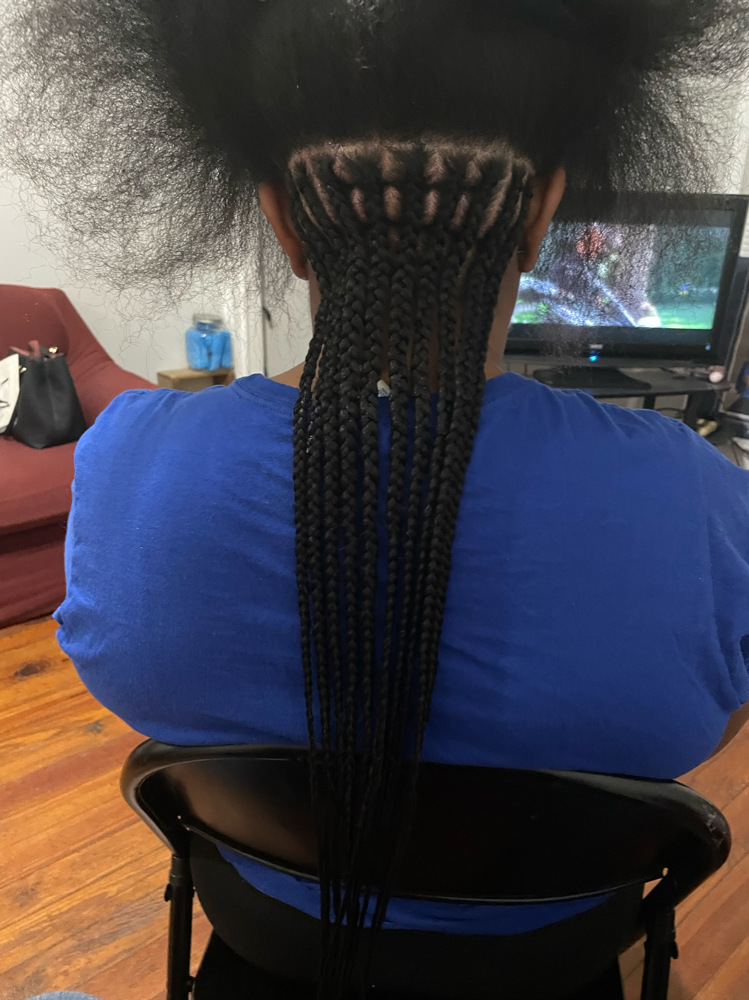Triple Layered Feed Braids