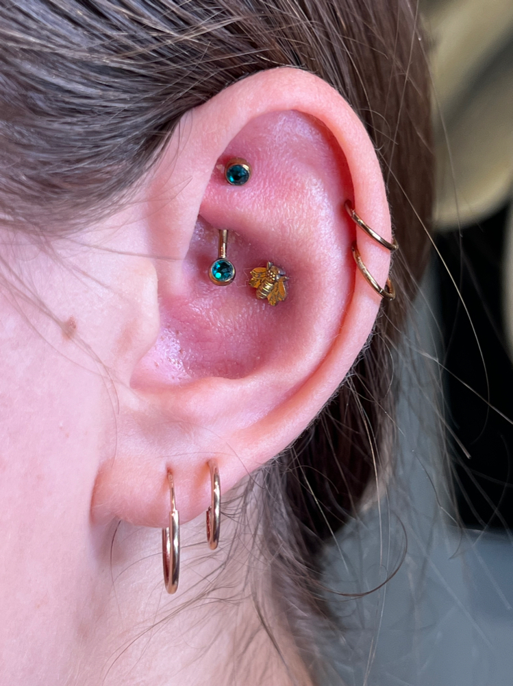 Rook