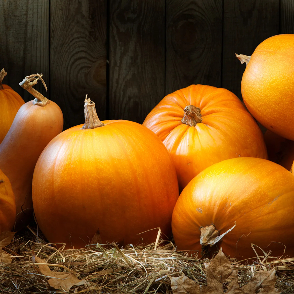 Pumpkin Spice Pedicure