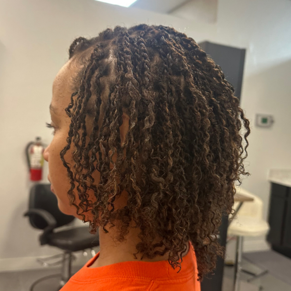 Two Strand Twists (Hair Added) at Shakira Stylez in Las Vegas, NV
