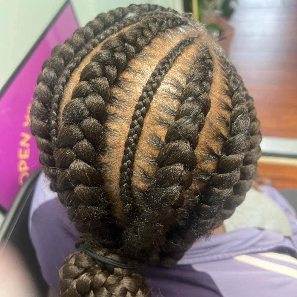 Feed-In Cornrows (Less Than 10) at Braid Nation, LLC in Smyrna, DE