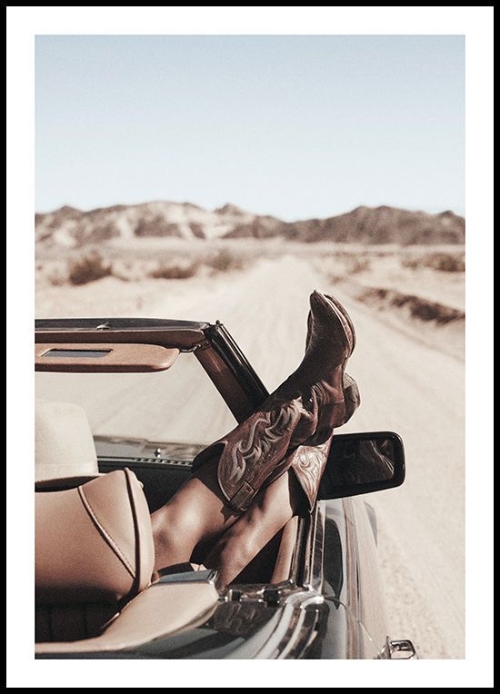 The Desert Dreamer