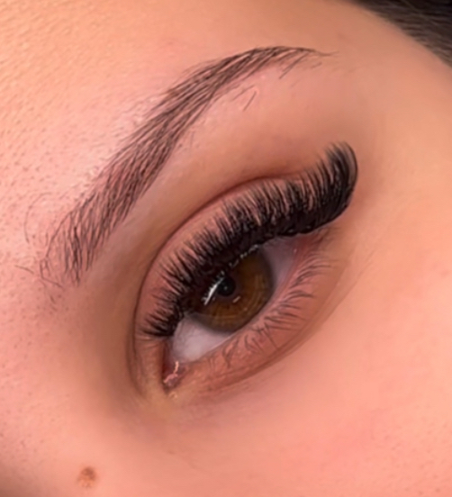 Volume lash