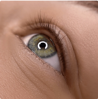 Eyelash Enhancement Tattoo/Upper