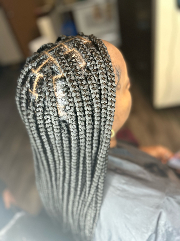 Adult Medium Box Braids at BraidsByChardonnay in Milwaukee, WI