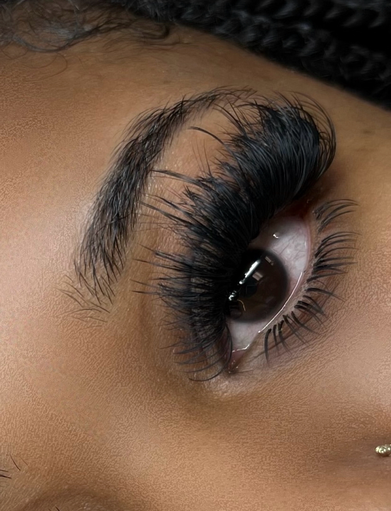 Bottom Lashes