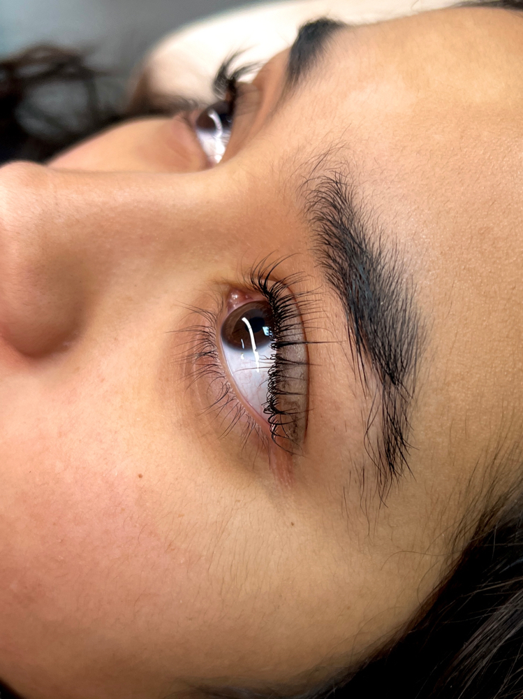 Eyelash Lift/Tint