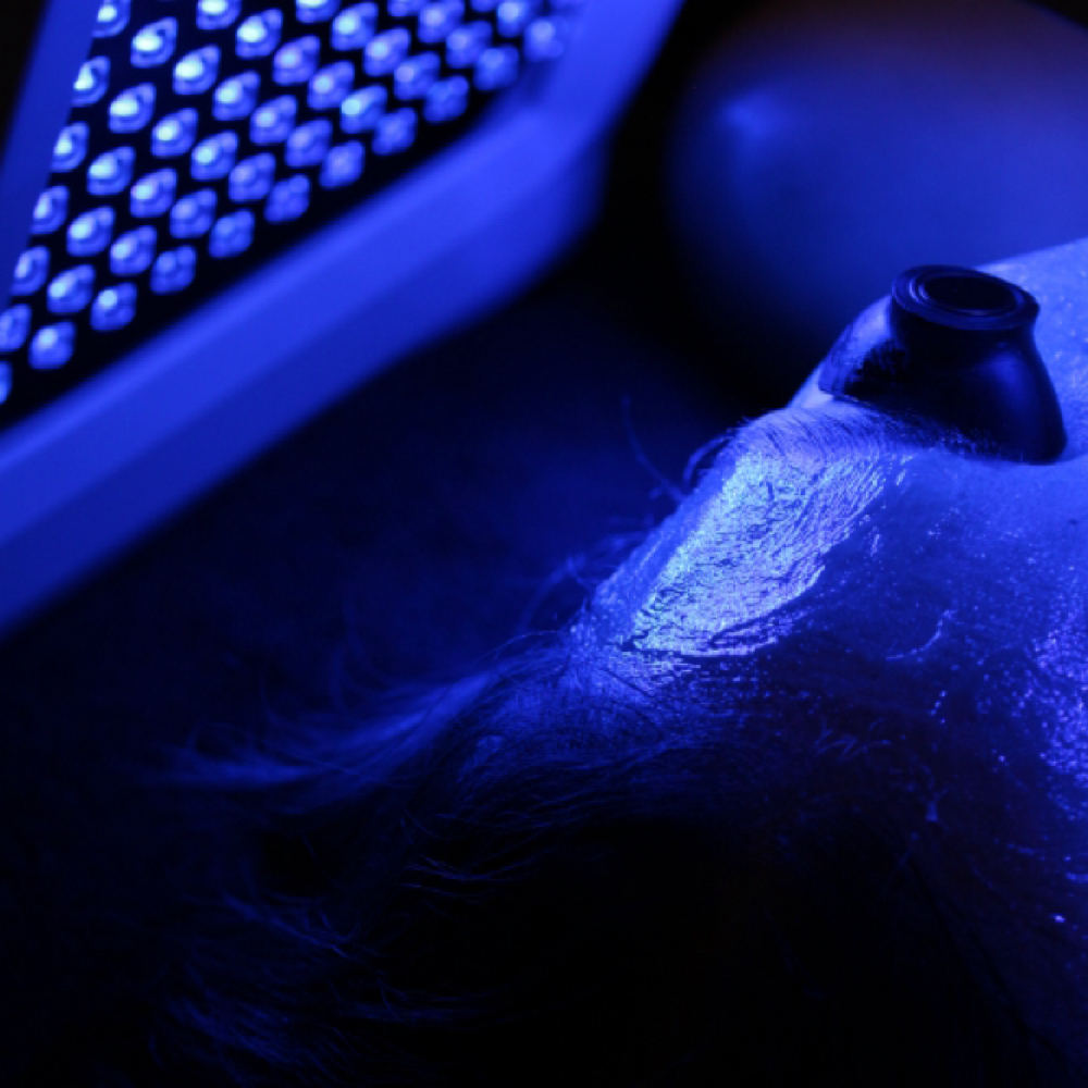 LED Light Therapy - Add On at Accentuated Beauty in Corpus Christi, TX