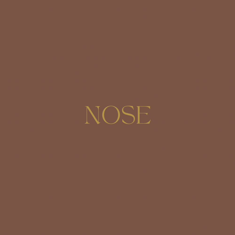 Nose