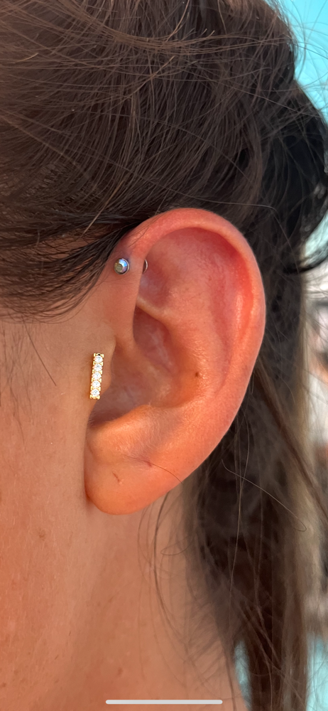 Forward Helix at Sydney at Madame Voodoo’s in Warrenton, MO