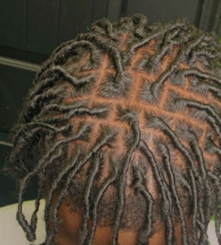Starter Locs at Myesha’s Braids & More LLC in Dayton, OH
