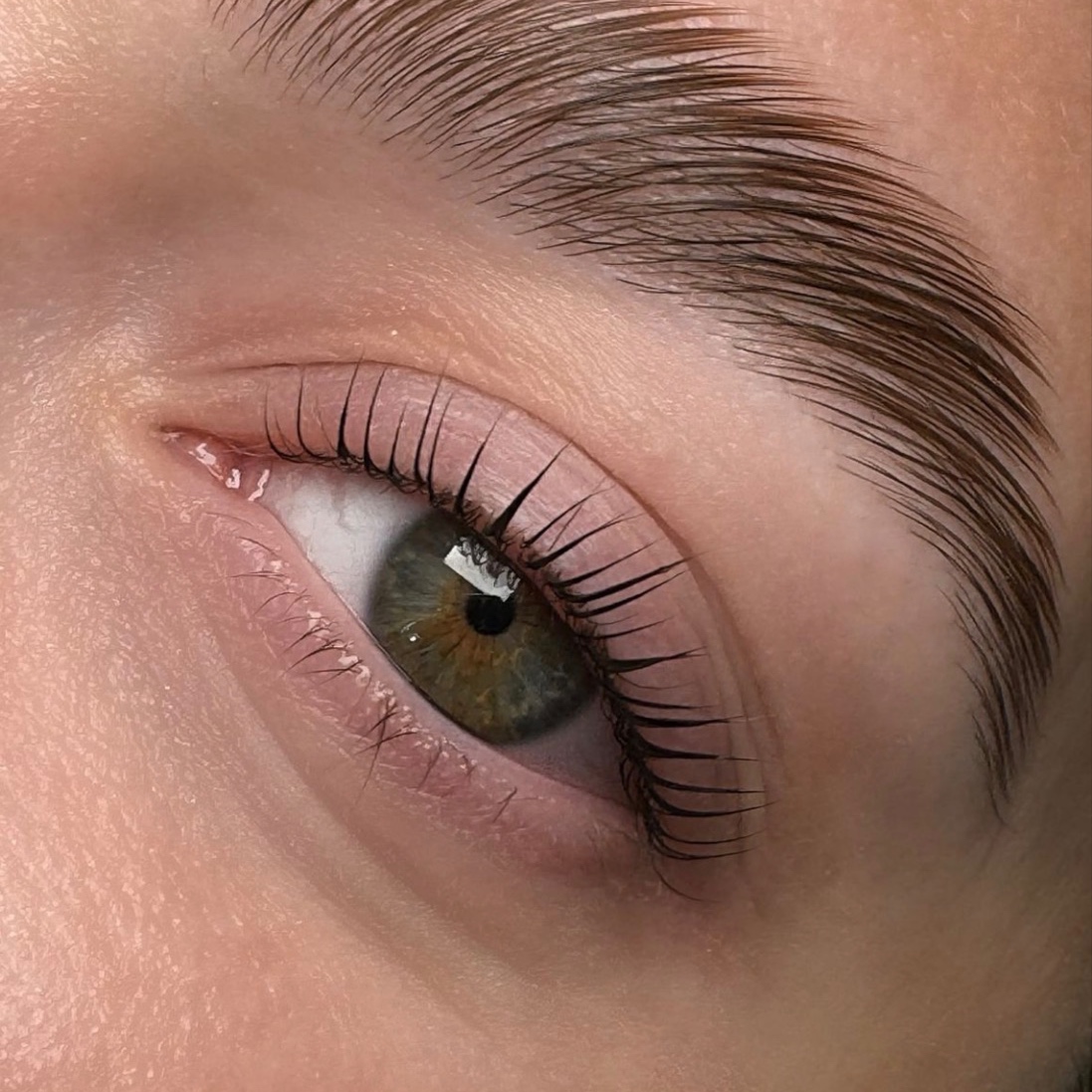 Korean Lash Lift + Brow Trio at The Glo Haus Atlanta in Atlanta, GA