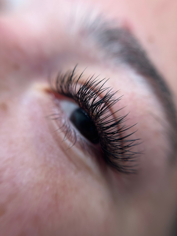LASH Lounge