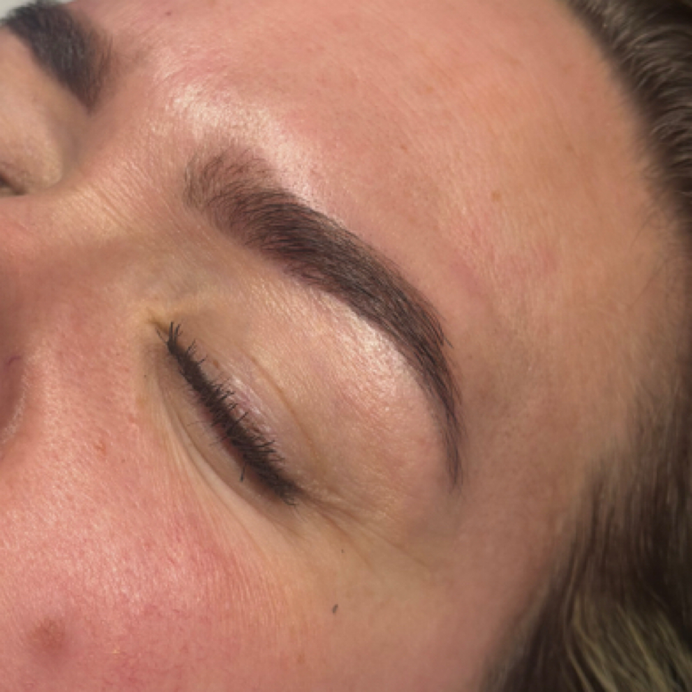 Brow Tint at The Beauty Bar in Reading, MA